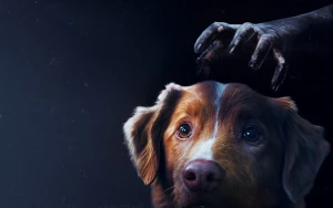 Good Boy’s Heel Triumphs with Certified Fresh Status and Critical Acclaim
