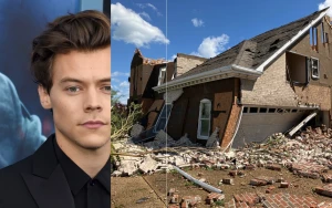 Harry Styles’ Concert Film Rises on Netflix Before BTS Reunion Event