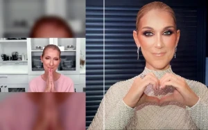 Céline Dion Posters Spark Buzz for Possible Paris Concert Residency