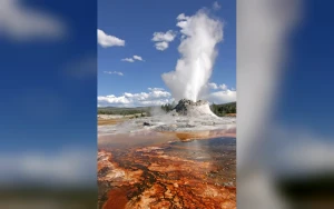 Complete Guide to Yellowstone Spinoffs Expanding the Dutton Saga