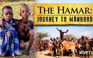 Inside Manhood Documentary’s Candid Look at Penile Enhancement Culture
