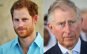 Prince Harry to Skip Meeting King Charles During US State Visit in April