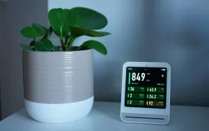 Clean Air, Green Home: Air-Purifying Houseplants