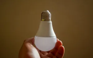 Choosing the Right Light Bulb Color for Your Home Mood