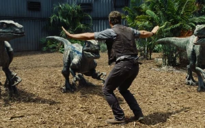 Chris Pratt Reveals Jurassic World Bungalow Destroyed by Hawaii Storms