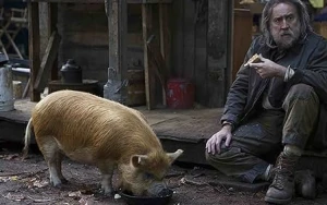 Nicolas Cage’s 97% RT Crime Thriller ‘Pig’ Echoes ‘John Wick’ and ‘The Bear’
