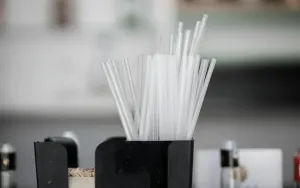 Swap These Single-Use Plastics for a Greener Home