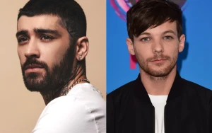 What Sparked the Fallout Between Zayn Malik and Louis Tomlinson on Netflix Project