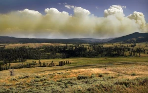 Everything to Know About Upcoming Yellowstone Spinoffs and Future Series