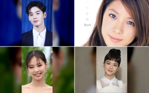 K-Pop Solo Labels Surge Amid Tax Scrutiny and Industry Shakeup in Korea