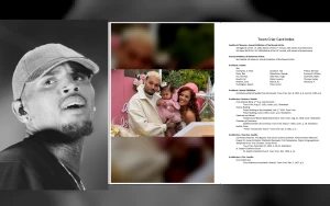 Chris Brown’s Ex Files Custody Suit for Daughter Lovely Amid New Baby News