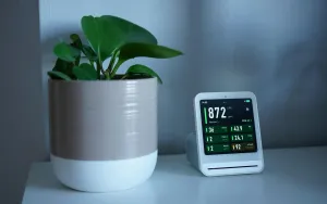 Indoor Plants That Actually Clean Your Air