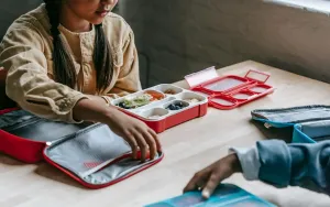 Lunchbox Ideas That Picky Eaters Will Actually Eat