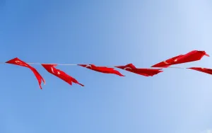 When Your Gut Screams Run: Red Flags You Cant Ignore