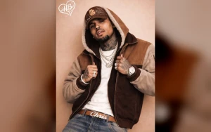 Chris Brown Earns Honorary Doctorate Celebrating His Artistic Impact