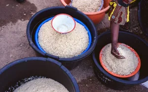 The Absorption Method for Fluffy Rice Every Time