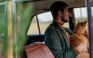Traveling with Pets: What No One Tells You About Road Trips