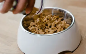 What Your Pet's Food Label Isn't Telling You