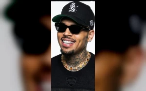 Chris Brown Ordered to Pay $13M Over Dog Attack at His California Home
