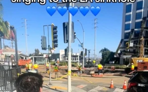 Harry Daniels Sings 'Landslide' to Sinkhole on Sunset Strip in Viral TikTok