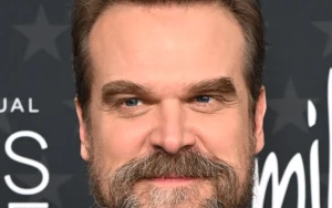 David Harbour Wins First Emmy for DTF St. Louis Role, Marking a Career Milestone