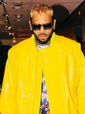 Chris Brown's Fan Splits With Her Boyfriend After Singer Gives Her Lap Dance at Concert 
