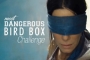 Don't Try This at Home! Most Dangerous 'Bird Box' Challenges