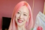 Late Korean Star Sulli's Funeral Location Leaks Despite Family's Wish for Private Ceremony