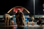 'The One and Only Ivan' Collects PETA Awards for Its CGI Use to Depicts Animals