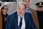 Harvey Weinsten Sued for Damages Over Alleged Sexual Assault