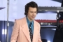 Harry Styles 'Excited' for Steamy Nude Sex Scenes in Gay Movie 'My Policeman'