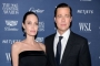 Brad Pitt Accused of Seeking 'Special Treatment' in Custody Battle With Angelina Jolie