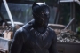 Chadwick Boseman's Brother Approves of Campaign to Recast T'Challa in 'Black Panther'