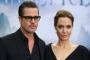 Brad Pitt Sues Angelina Jolie for Blindsiding Him With Winery Sale