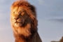 'The Lion King' Prequel to Be Released in July 2024