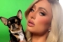 Paris Hilton Offers Massive Reward for Anyone Who Can Find Her Missing Dog  