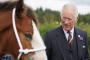 King Charles Selling Dozen of Queen Elizabeth's Racehorses