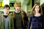'Harry Potter' Star Says Only Daniel Radcliffe, Emma Watson and Rupert Grint Earned Seven Figures