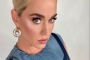 Katy Perry Pokes Fun at Her Mid-Concert Eye 'Glitch'