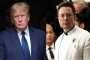Donald Trump Refuses to Return to 'Failing' Twitter Until Elon Musk Calls Him 'Daddy'