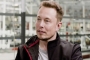 Elon Musk Slammed for Ruling Twitter With 'Dictatorial Edict' Instead of Policy 