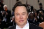 Elon Musk to Hire 'Someone Foolish' to Replace Him as Twitter CEO