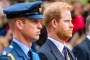 Prince William Spotted Keeping Framed Photo of Him and Harry in Coronation Weekend Video
