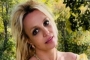 Britney Spears Blames 'All Those Rules' and 'Not Having Voice' for Her Quitting 'the Business'