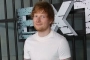 Ed Sheeran Praised by 'Sumotherhood' Director for His Acting Chops