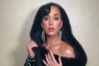 Katy Perry's Daughter Makes Her First Public Appearance by Joining Mom at Vegas Show
