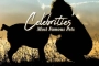 Celebrities' Most Famous Pets