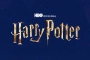 HBO's 'Harry Potter' Series Sparks Unprecedented Fan Interest, Eyes Big Stars for Iconic Roles