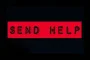 Sam Raimi's 'Send Help' Trailer Strands O'Brien, McAdams in 2026 Thriller