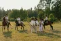 Slow Horses Star's Netflix Movie: A Must-Watch Holiday Rom-Com